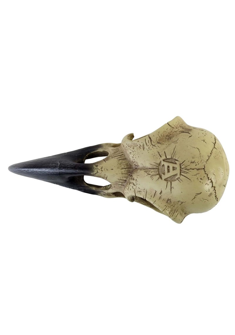 Alchemy Corvus Alchemica Raven Skull - Image 3